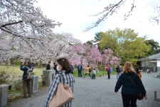 극스압2014년도여행기 오사카와 주변소도시 여행