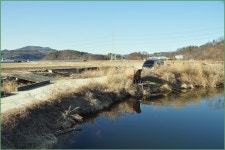 (칠원둠벙 )바람따라 구름따라 874회 :: 토종붕어를 사랑하는 사람들