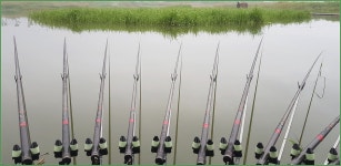 주말 중증환자들 근황 :: 토종붕어를 사랑하는 사람들