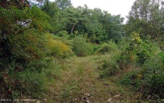 산행기 - 행경매기산, 피난봉, 출세봉, 소리산 - 경기 양평군 단월면 2009.10.01