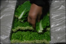 맛집 정보 검색 NO.1 사이트, 메뉴판닷컴 :: 맛집 정보가 가득