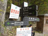 사계절 산악회 11월 주왕산 정기산행 안내 - ♣ 산행안내 및 신청방 ♣ - 진주사계절산악회 사계절 산악회 11월 주왕산 정기산행 안내