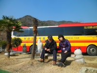 하나뉴부산투어여행사 | 부산테마여행사