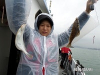 (南)남해조황 - 왕도다리~손맛입맛찐하게즐기고~(예약가능)