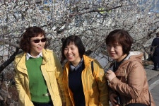 부산테마여행사