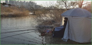 (주) 한화 구미사업장 시조회 :: 토종붕어를 사랑하는 사람들