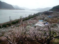 부산테마여행사