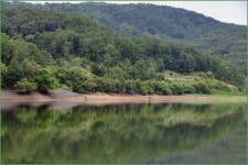 대경지부 8 월정출 이모저모 :: 토종붕어를 사랑하는 사람들