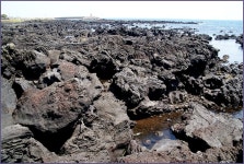 그 아름다움, 5월의 제주 올레길 - 5코스 3편