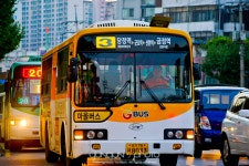 3번 - 버스 갤러리