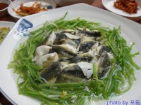 [연제구 시청 뒤] 통영 졸복 전문점 부일복국 > 네티즌 추천맛집