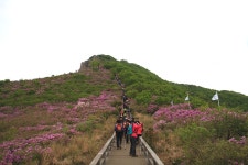 [100대명산-16차] 전국 최대 철쭉군락지의 위엄- 황매산 - 뽐뿌:등산포럼 [100대명산-16차]  전국 최대 철쭉군락지의 위엄- 황매산