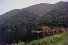 (지촌지)바람따라 구름따라 679회 :: 토종붕어를 사랑하는 사람들