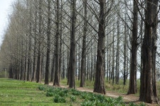 메타길 - 자유게시판 출사코리아