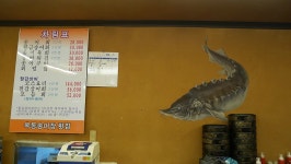 강원도영월맛집 - 철갑상어양식장도 보고 싱싱한 송어회 옥동송어장횟집 - 영월 지역 추천맛집 옥동송어양식장횟집 후기