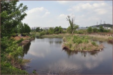 ( 능암늪 )바람따라 구름따라 816회 :: 토종붕어를 사랑하는 사람들