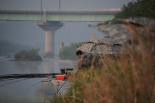 강원도원주에서...섬강줄기 :: 토종붕어를 사랑하는 사람들