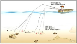 봄도다리 쑥국 영접에 발걸음도 가볍 가볍~ 도다리 마릿수 낚시 ~~SEe마트////캬바레낚시의 진수를 보여줘야~ 잡어왕:010-9031-7676