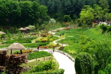 Guest) 용인 농촌 테마파크에서 - 펜탁스 갤러리