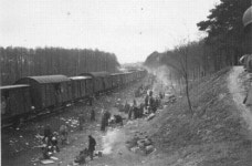 BEMIL 사진 자료실 - BEMIL 군사세계 마그데부르크 강제수용소 열차를 해방시킨 미군 743 전차대대 병사