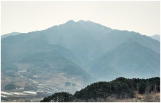 Naver search result photo 6