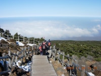성판악에서 관음사까지 맑고 따뜻한 날의 한라산 산행 2 - 등산 갤러리