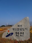 [안산여행] 경기도 맛집에서 동춘서커스와 태양의 서커스를 생각하다 | 네이트 판