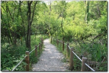 [양구] 지뢰가 묻혀 있는 산책길. 초자연의 세계 <두타연>