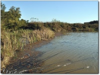 (영천권)바람따라 구름따라 544회 :: 토종붕어를 사랑하는 사람들