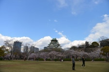 극스압2014년도여행기 오사카와 주변소도시 여행