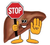 고려수지침 대구 복현지회 | 담도기능과 담도암이란? - Daum 카페 담도기능과 담도암이란? 