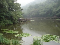 산행기 - 부산 승학산의 억새는 아직 이르고...