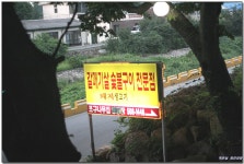 [두구동] 큰나무 함께 갈매기살이 맛있는~ 포구나무집 > 네티즌 추천맛집