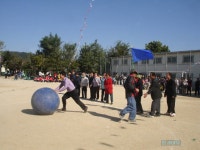 소풍가는길 리폼뉴스 | 서울 북가좌초등학교 가을 운동회 - Daum 카페 서울 북가좌초등학교 가을 운동회