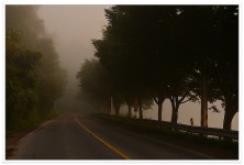 지평 > 지평의 물 나들이 [충주호&관성지] : 낚시사랑