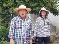 공주여행 베리베리팜 블루베리농장 체험하고 용문서원 구경