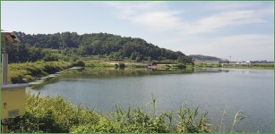 바람따라 구름따라 923회( 용연지) :: 토종붕어를 사랑하는 사람들