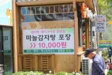 부산테마여행사