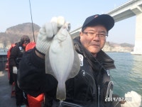 (南)남해조황 - 왕도다리 회맛손맛에뽕~갑니다~~(예약가능)