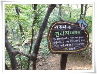 둘레길-트레킹 - 관악산둘레길 금천구구간(호압사~석수역, 완결편)