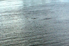 호미숙 자전거여행[한강의 교량별로 올라 본 풍경과 야경 비교] - Dr. Sparks Columns