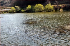 (유계지)바람따라 구름따라 576회 :: 토종붕어를 사랑하는 사람들