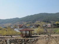 부산테마여행사