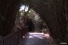 여수여행] 오동도 등대와 동백열차