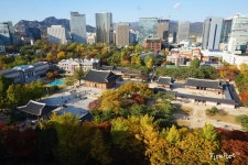 서울 정동전망대에서 느끼는 덕수궁의 단풍