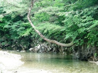 용인산악회 7월 야유회 산행 - ‥― 정기산행 공지/신청 - 용인 산악회 용인산악회 7월 야유회 산행