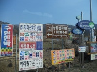 지례향우회 | 구례 산동 상위마을 산수유 축제 - Daum 카페 구례 산동 상위마을 산수유 축제