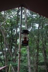 캠프랜드CampLand | 2012..28th..청도 수리덤 오토캠핑장(07.13~15) - Daum 카페 2012..28th..청도 수리덤 오토캠핑장(07.13~15)