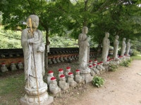 불교인드라망 | 소박한 아름다움을 간직한 보성 대원사 (전남 보성군) - Daum 카페 소박한 아름다움을 간직한 보성 대원사 (전남 보성군)