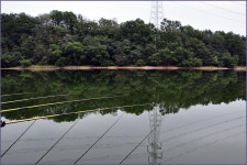 ( 안동권 )바람따라 구름따라 770회 :: 토종붕어를 사랑하는 사람들